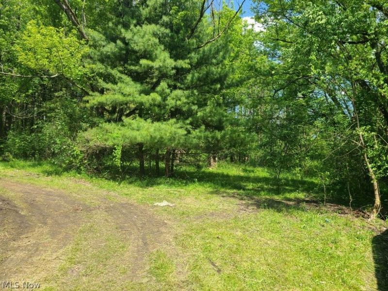 3620 Biltz Road, Kent, OH 44240 Photo 19