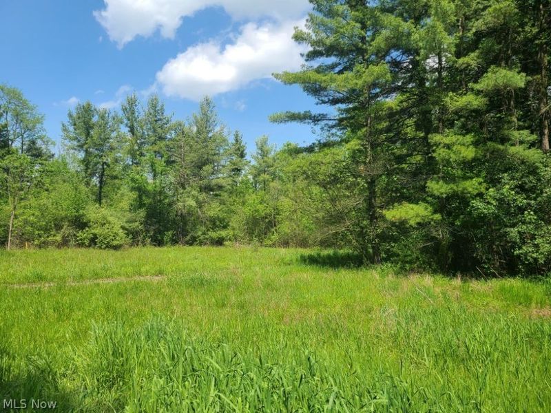 3620 Biltz Road, Kent, OH 44240 Photo 22