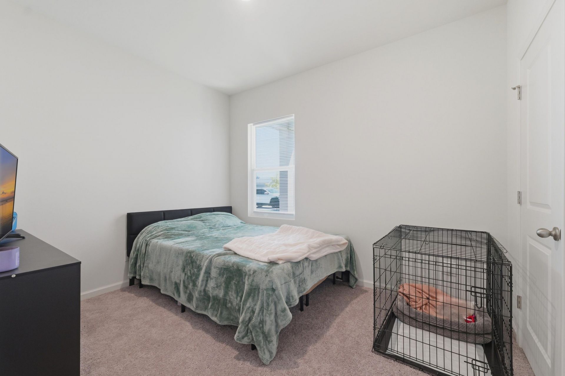 254 Phoenix Drive Photo 11