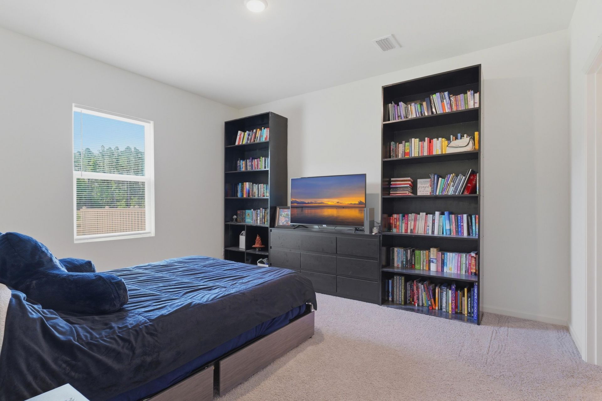 254 Phoenix Drive Photo 6