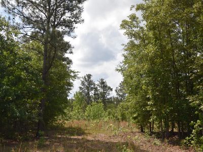 Tbd Hawthorne Drive, Kingstree, SC 29556