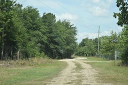 Tbd Hawthorne Drive photo 4