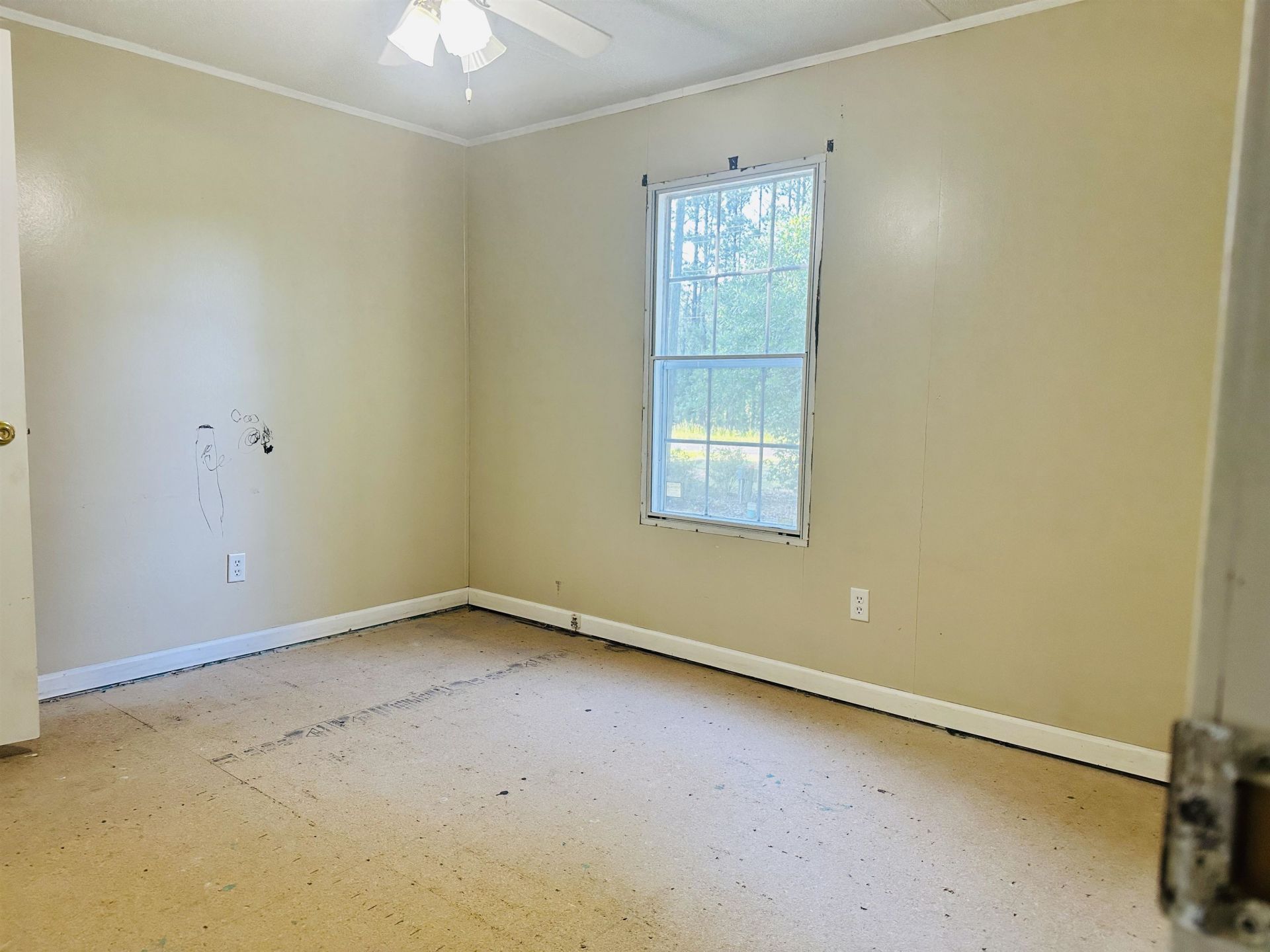 1727 Mineral Springs Rd.  Photo 11