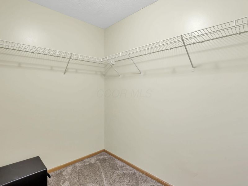7743 Solomen Run Drive, Blacklick, OH 43004 Photo 24