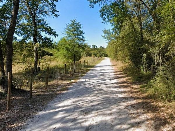 Lot 7 Dryden Street, Trinity, TX 75862