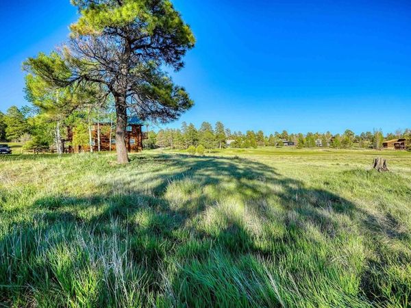 28 Divot Place, Pagosa Springs, CO 81147
