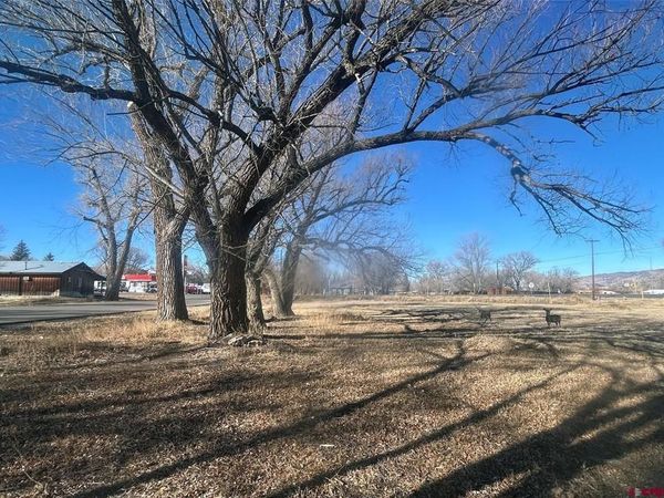 tbd Hwy 285, Saguache, CO 81149