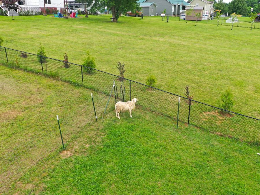 Property Image 55