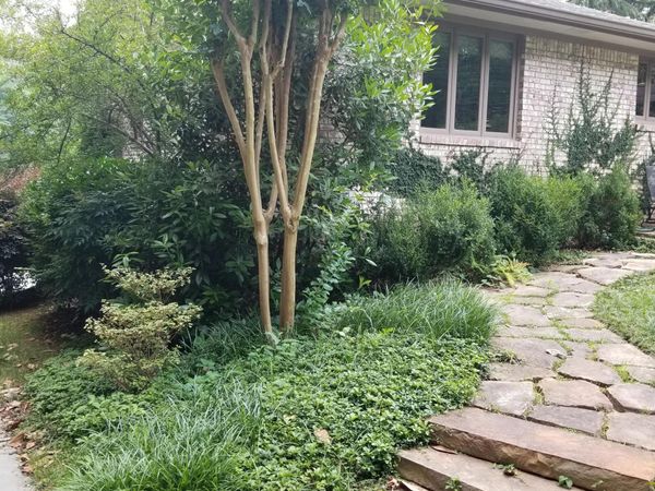 2469 Circlewood Road NE, Atlanta, GA 30345