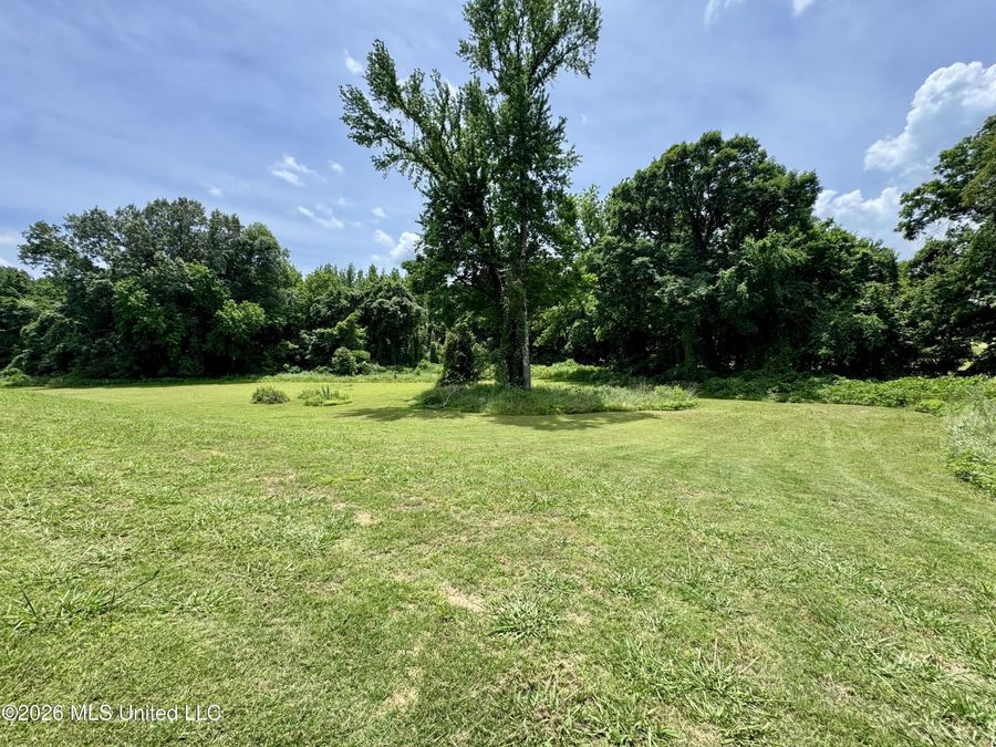 Property Image 65