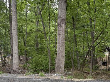 TBD PALMER RD, Unit 179, MCGAHEYSVILLE, VA 22840