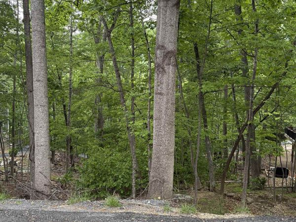 TBD PALMER RD, Unit 179, MCGAHEYSVILLE, VA 22840