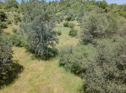 5912 Old Gulch Rd, San Andreas, CA 95249 Photo