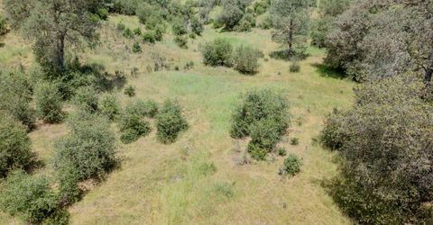 5912 Old Gulch Rd, San Andreas, CA 95249 Photo