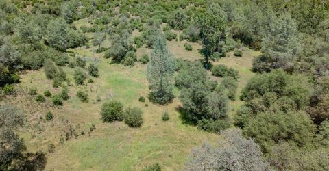 5912 Old Gulch Rd, San Andreas, CA 95249 Photo