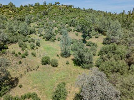 5912 Old Gulch Rd, San Andreas, CA 95249 Photo