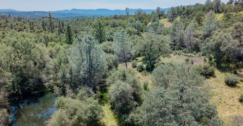 5912 Old Gulch Rd, San Andreas, CA 95249 Photo
