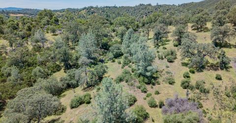 5912 Old Gulch Rd, San Andreas, CA 95249 Photo