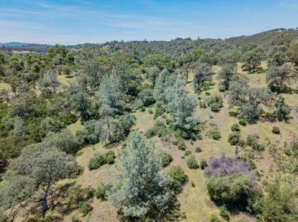 5912 Old Gulch Rd, San Andreas, CA 95249 Photo