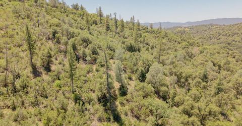 5912 Old Gulch Rd, San Andreas, CA 95249 Photo
