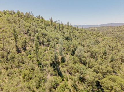 5912 Old Gulch Rd, San Andreas, CA 95249 Photo