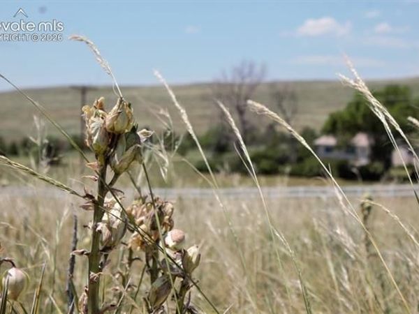 Tract 5 McClelland Road, Calhan, CO 80808