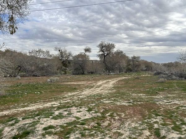 17930 National Trails Hwy, Oro Grande, CA 92368