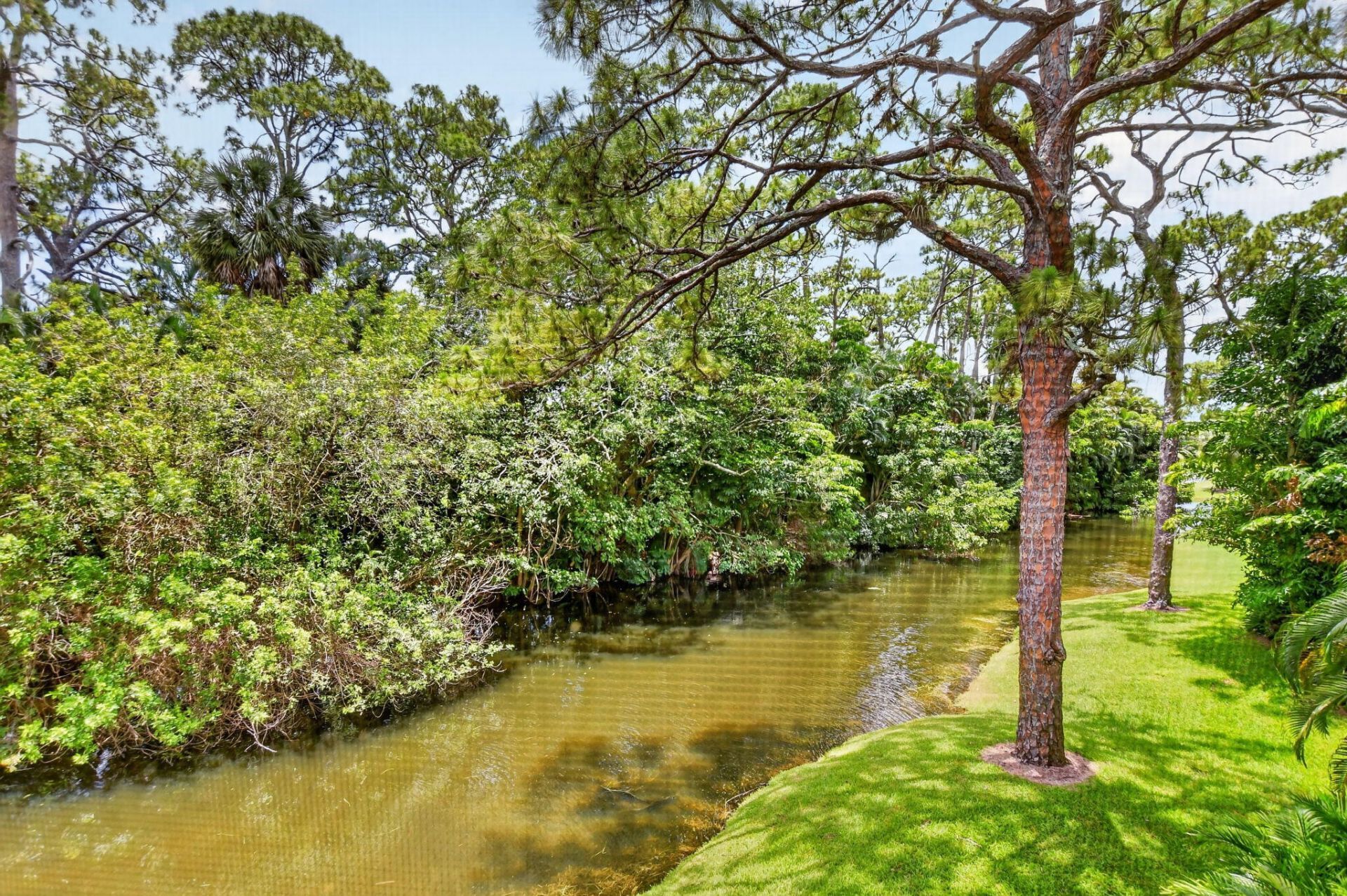 6957 Rain Forest Drive, Boca Raton, FL 33434 Photo