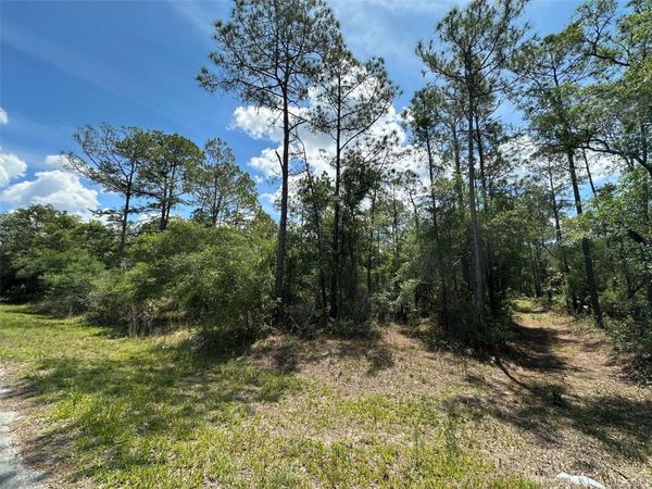 12184 W ARBORVITAE PLACE , CRYSTAL RIVER, FL 34428