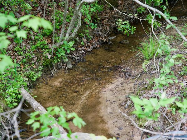 0 Creek Side Lane , Spencer, TN 38585