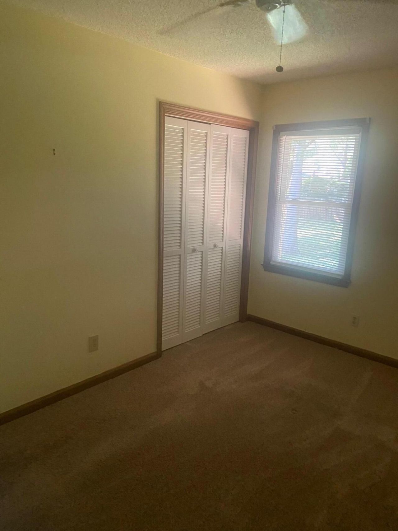 142 Wampee Curve Photo 24