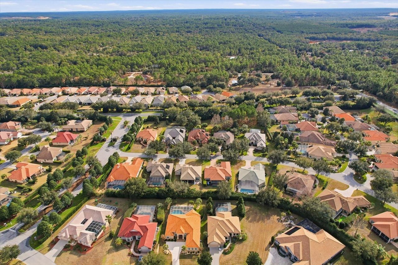 1416 N Ridge Meadow Path, Hernando, FL 34442 Photo