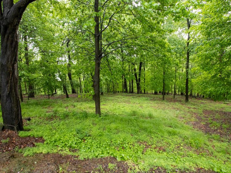 78 Ridgeview Drive, Unit Lots 78-79, Loudonville, OH 44842 Photo 2