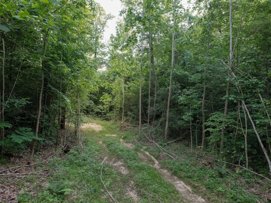 Property Image 18