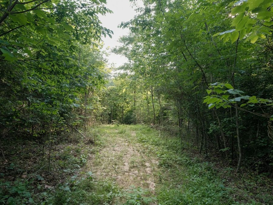 Property Image 20