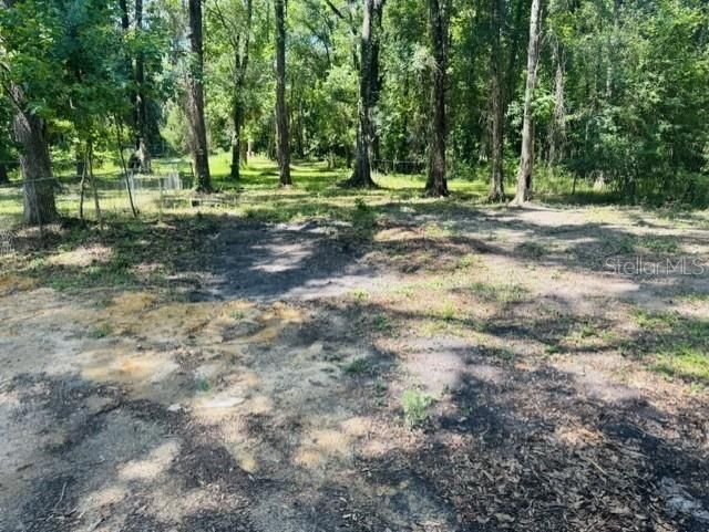 11898 SW 36th Way, Webster, FL 33597 Photo
