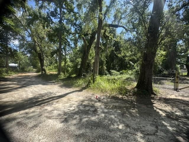 11898 SW 36th Way, Webster, FL 33597 Photo