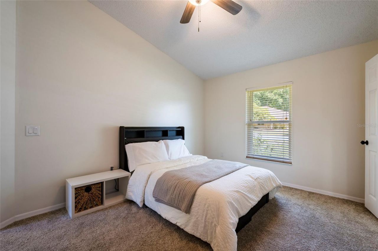 8115 Montock Court , Trinity, FL 34655 Photo