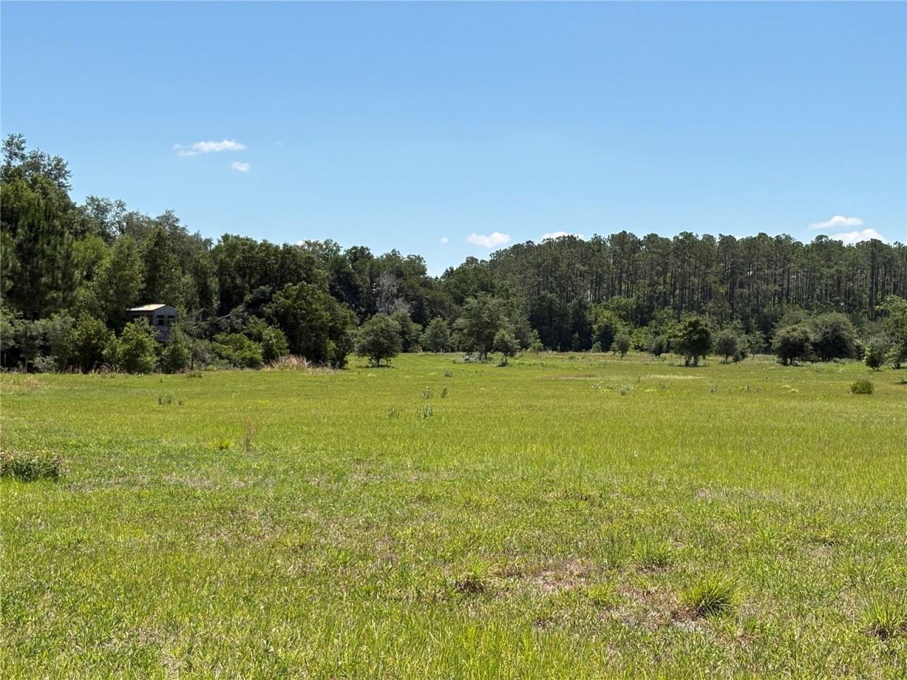0 Greenbriar Road, Lakeland, FL 33810 Photo