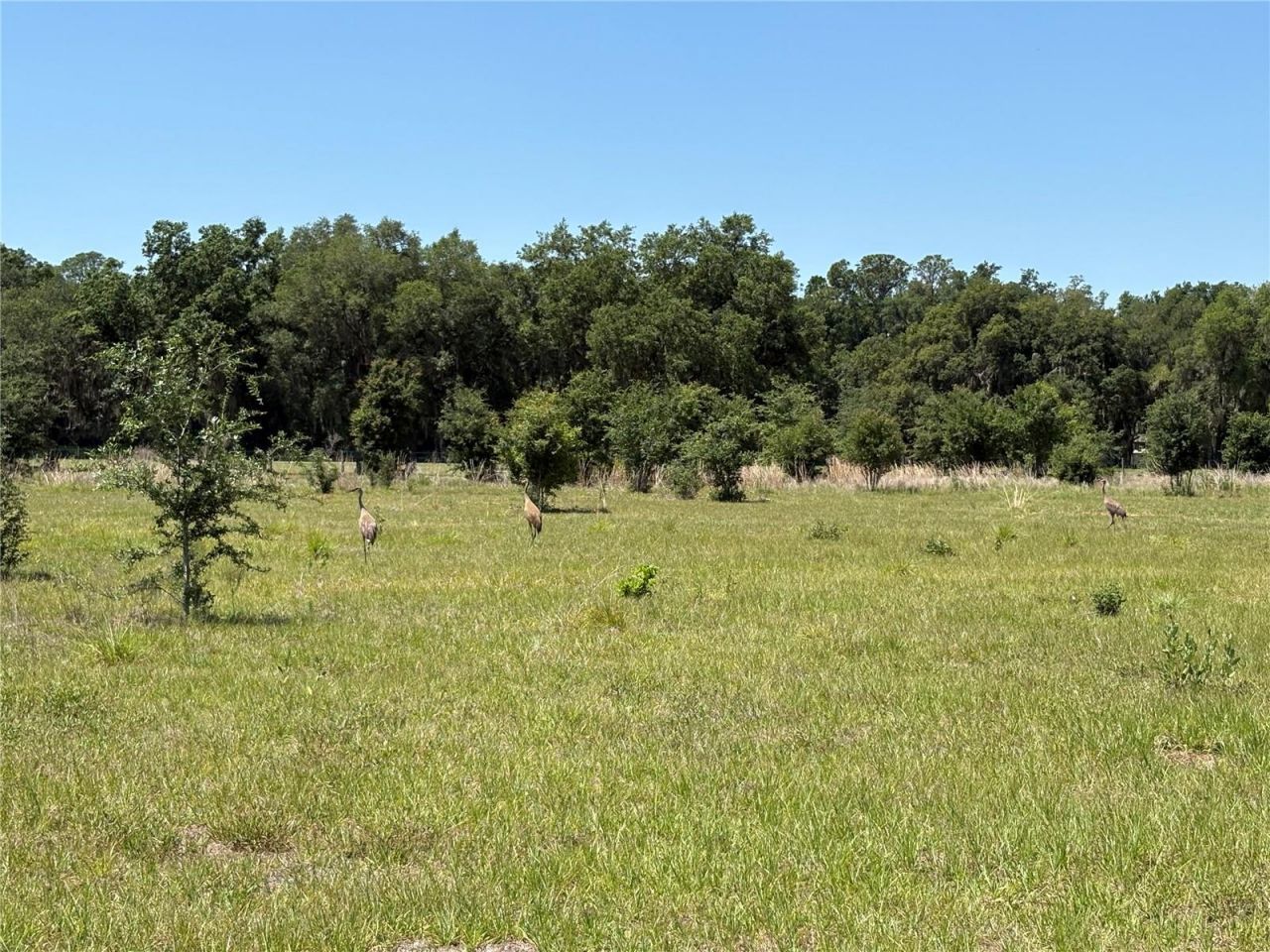 0 Greenbriar Road, Lakeland, FL 33810 Photo