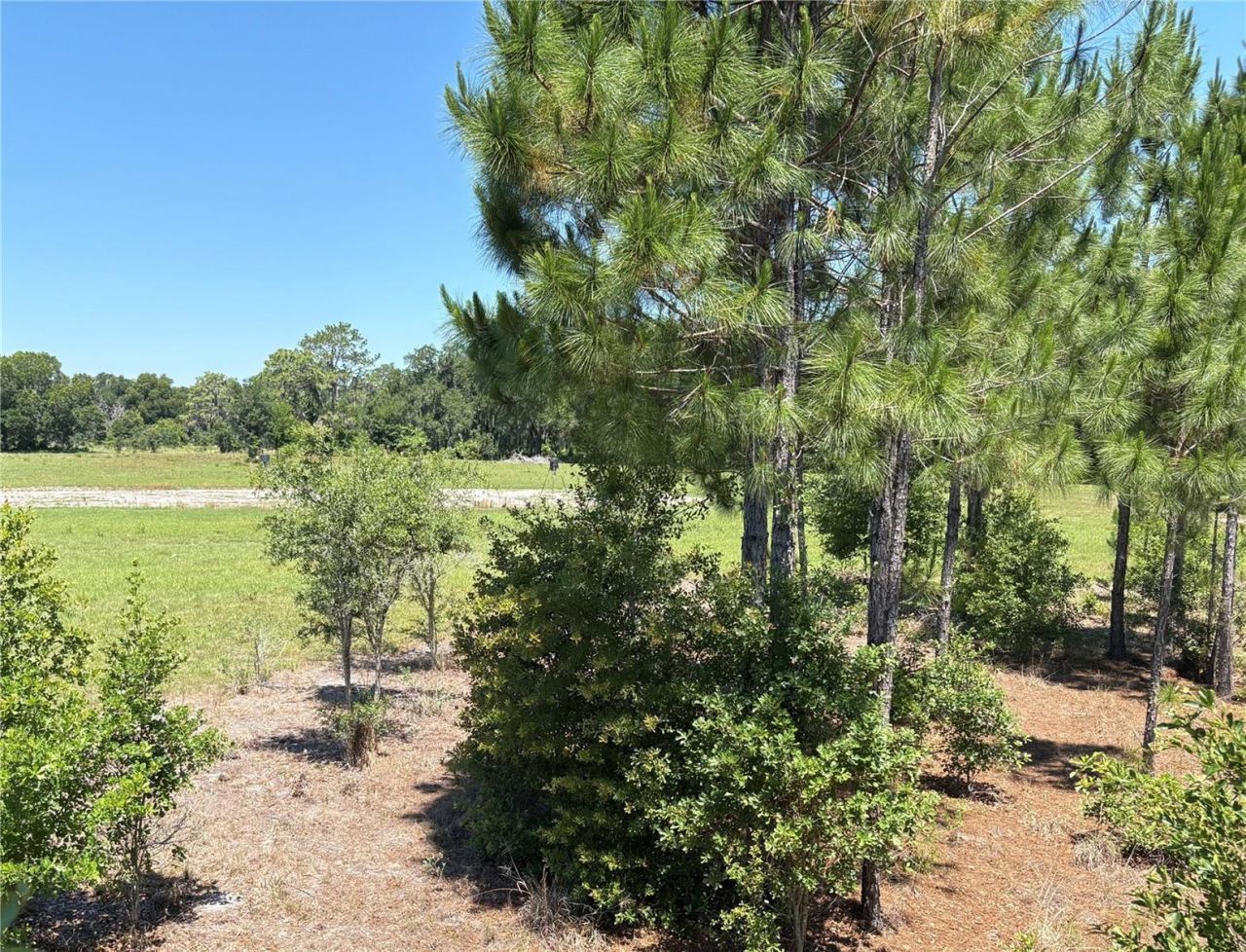 0 Greenbriar Road, Lakeland, FL 33810 Photo