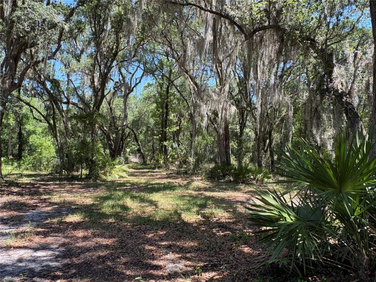 0 Greenbriar Road, Lakeland, FL 33810 Photo