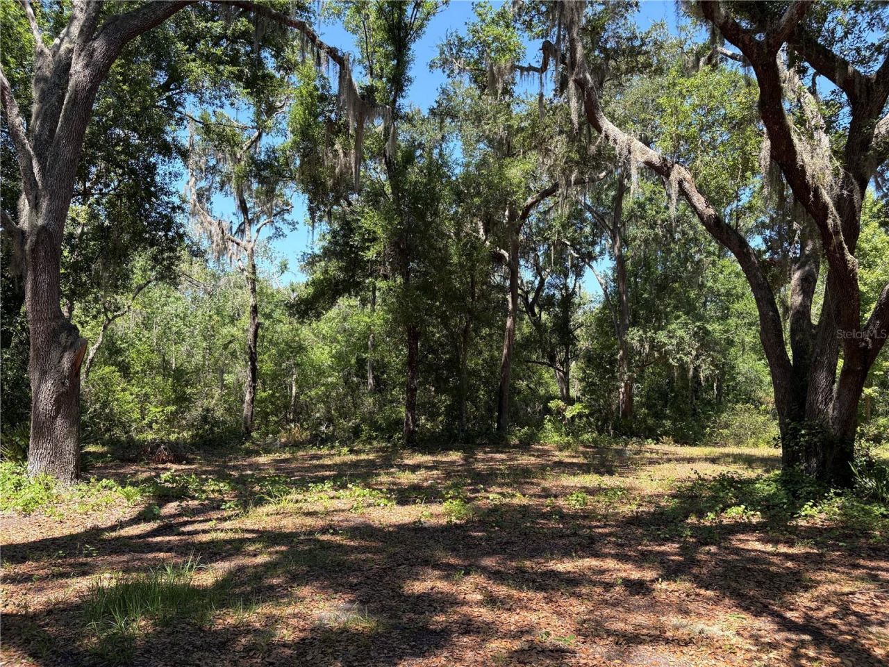 0 Greenbriar Road, Lakeland, FL 33810 Photo