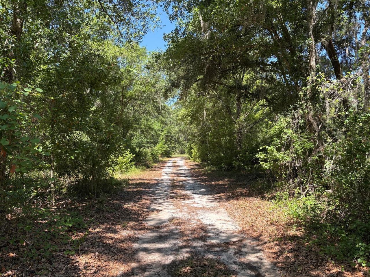 0 Greenbriar Road, Lakeland, FL 33810 Photo