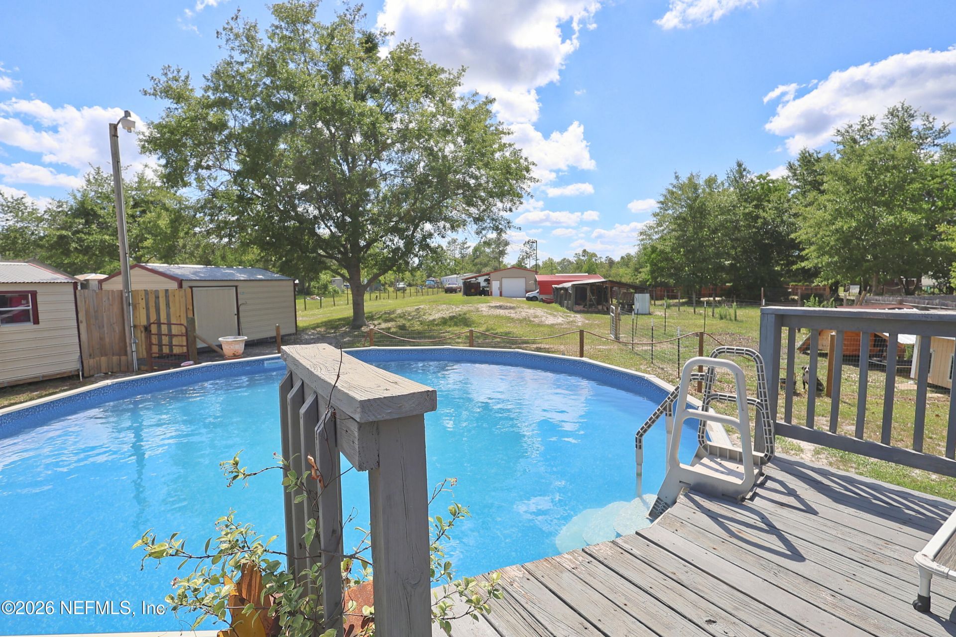 2442 Quarterhorse Trail, Middleburg, FL 32068 Photo