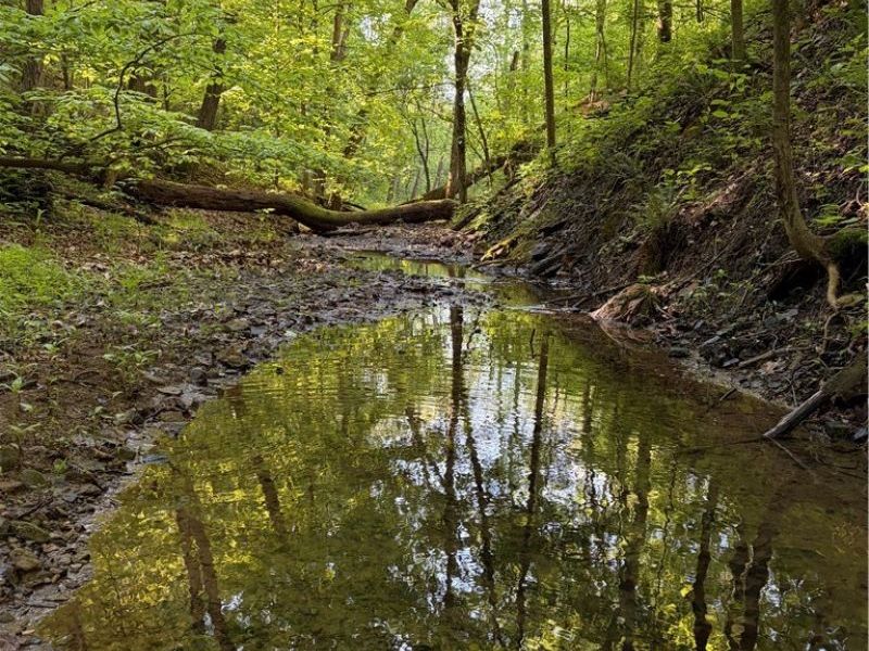 Crum Ridge Rd, Caldwell, OH 43724 Photo 10