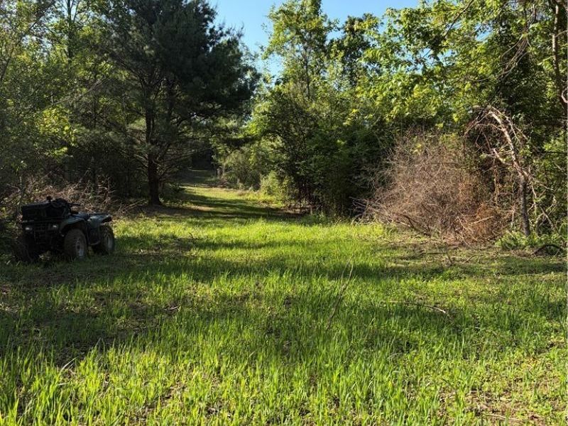Crum Ridge Rd, Caldwell, OH 43724 Photo 15