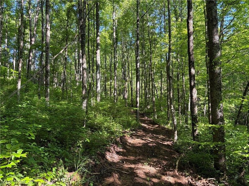Crum Ridge Rd, Caldwell, OH 43724 Photo 16