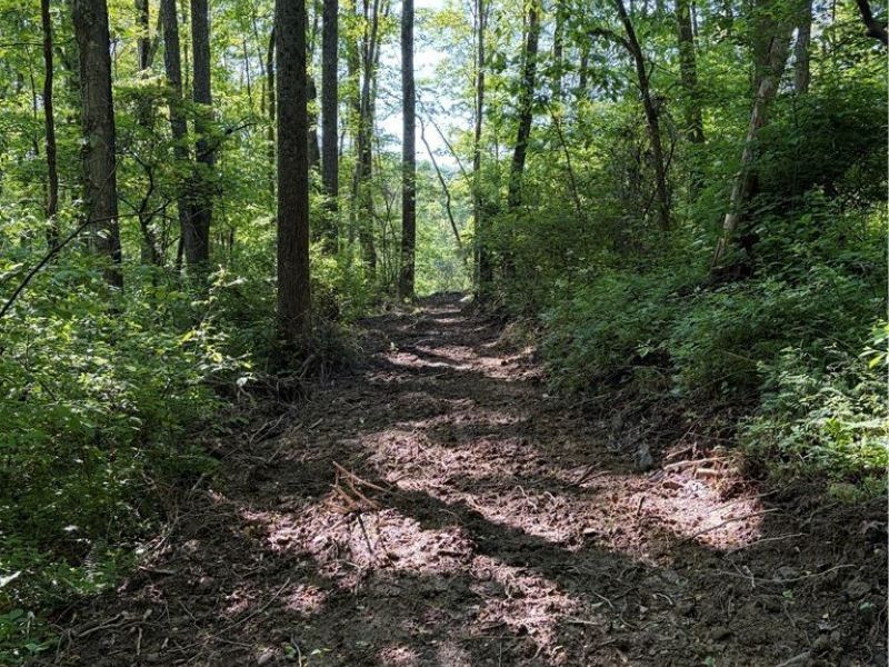 Crum Ridge Rd, Caldwell, OH 43724 Photo 18