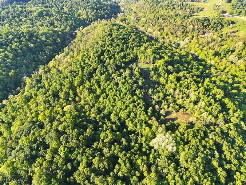 Crum Ridge Rd, Caldwell, OH 43724 Photo 19